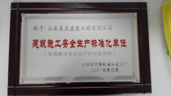 安全标准化单位